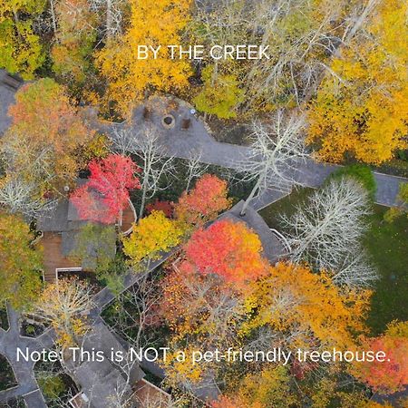 The Dogwood In Treehouse Grove At Norton Creek Villa Гетлинбург Екстериор снимка