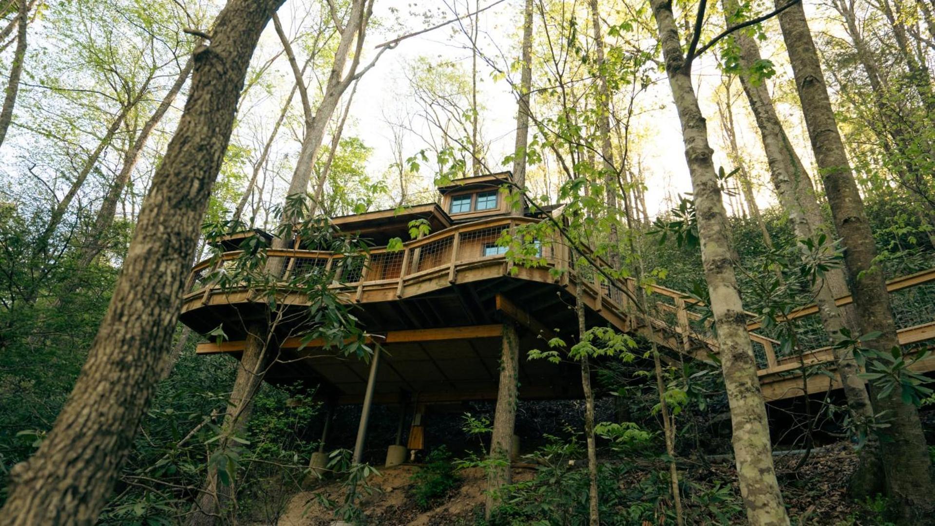 The Dogwood In Treehouse Grove At Norton Creek Villa Гетлинбург Екстериор снимка