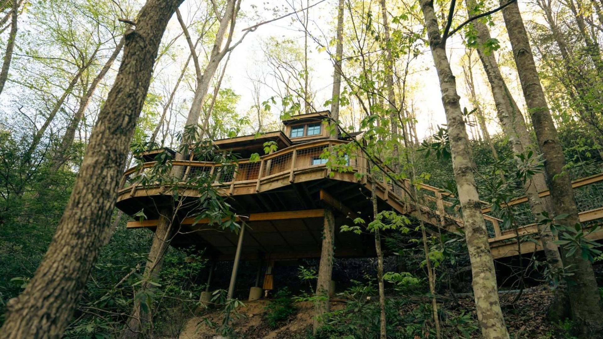 The Dogwood In Treehouse Grove At Norton Creek Villa Гетлинбург Екстериор снимка