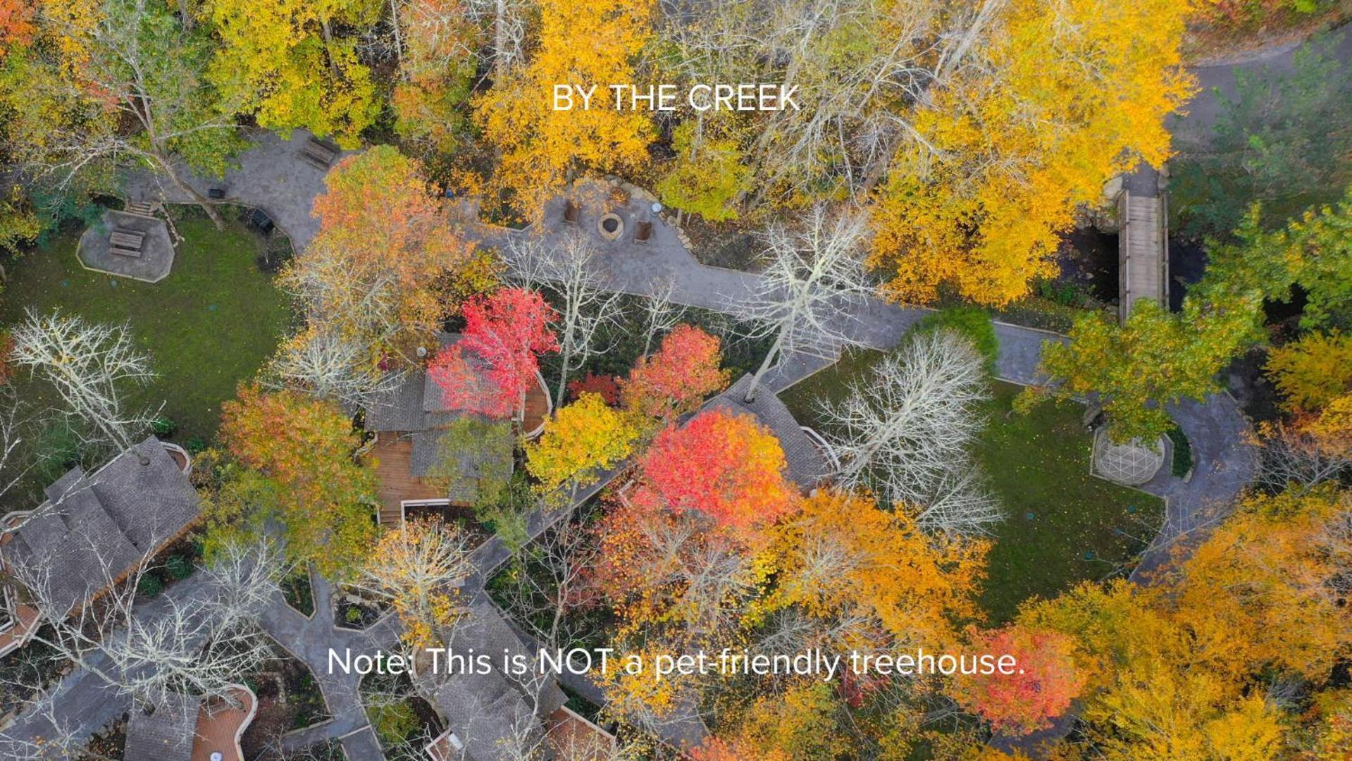 The Dogwood In Treehouse Grove At Norton Creek Villa Гетлинбург Екстериор снимка